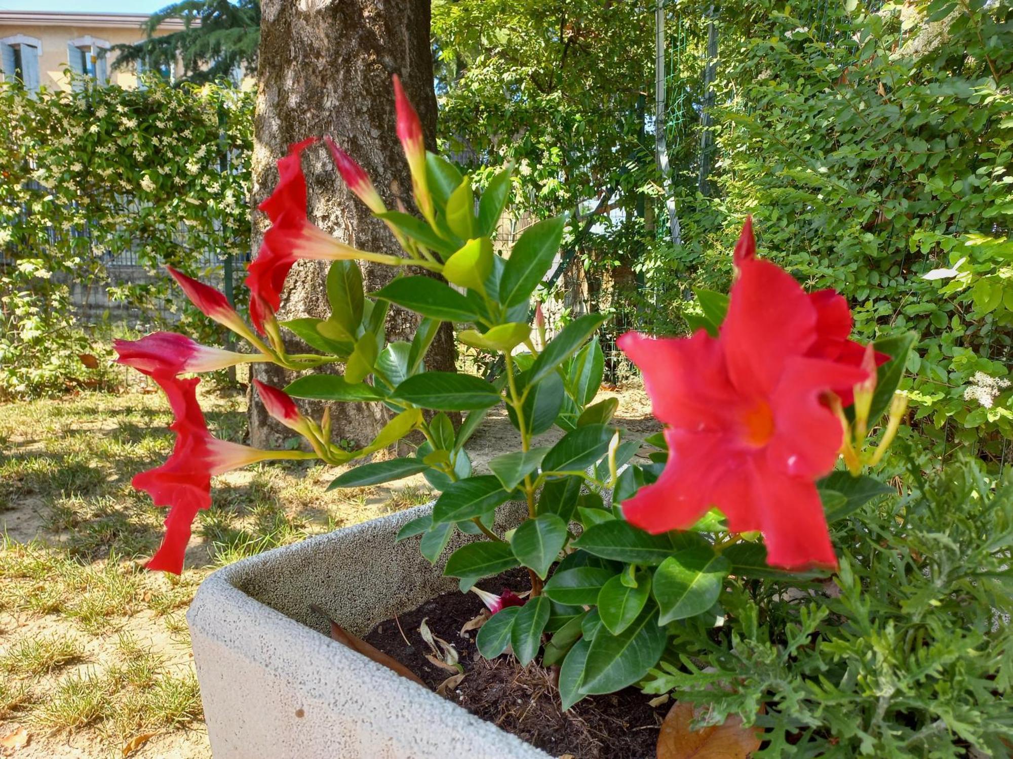 Appartamento Le Magnolie 2 Mestre Dış mekan fotoğraf
