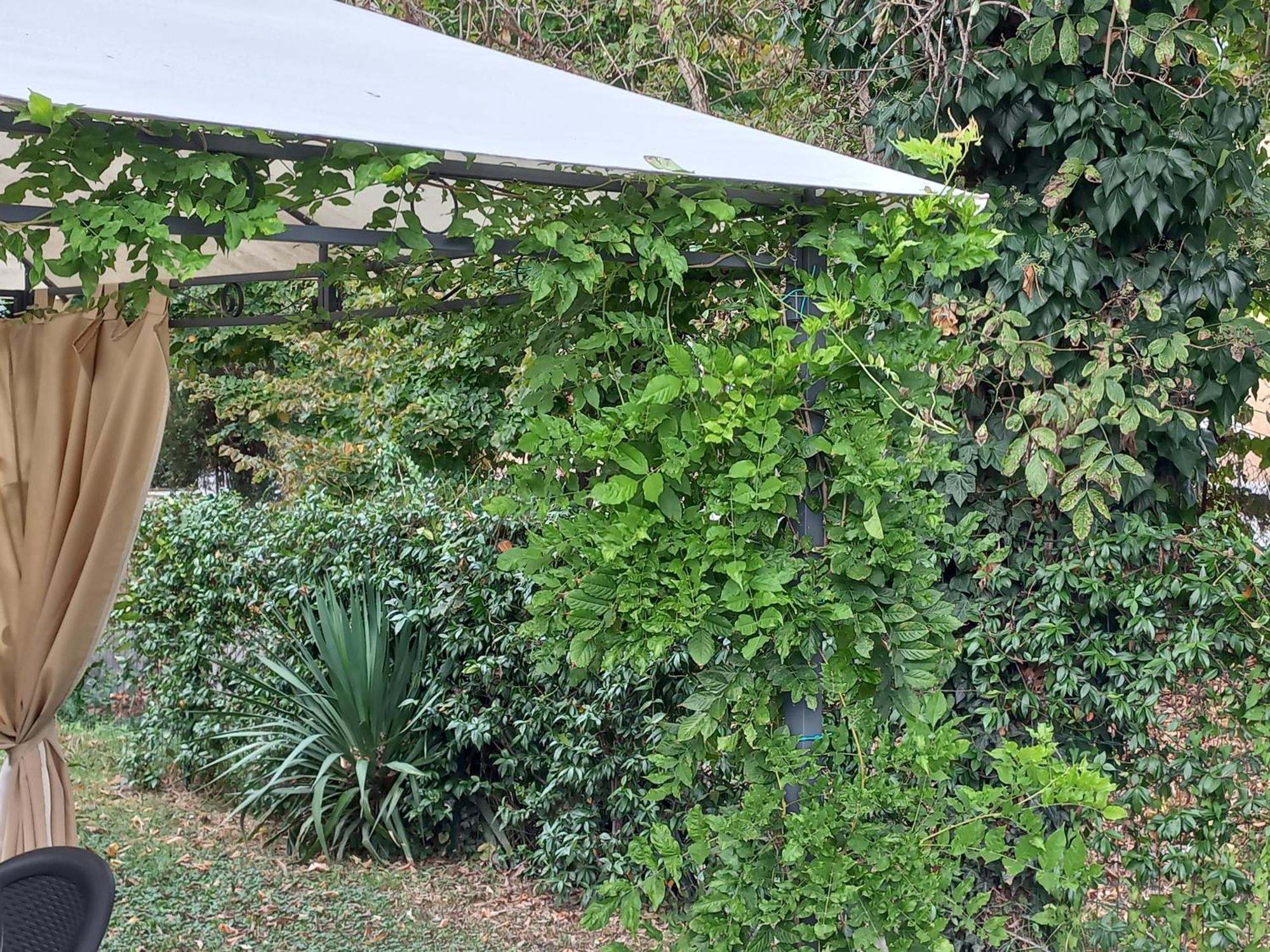 Appartamento Le Magnolie 2 Mestre Dış mekan fotoğraf