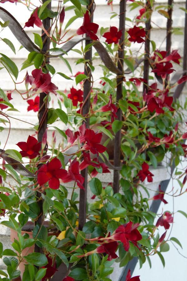 Appartamento Le Magnolie 2 Mestre Dış mekan fotoğraf