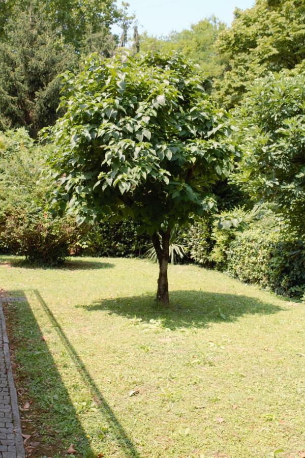 Appartamento Le Magnolie 2 Mestre Dış mekan fotoğraf